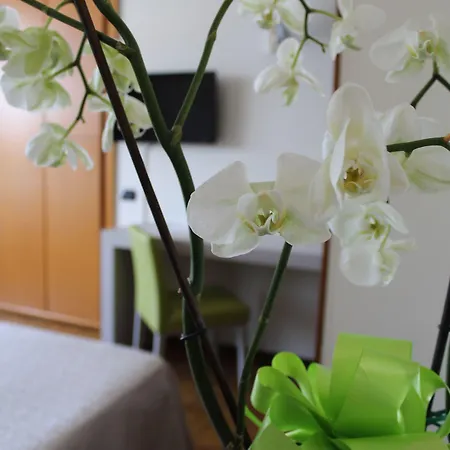 Hotel Residence Holiday מלון דירות 3*